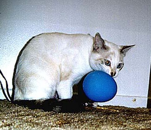 Abigail with a balloon