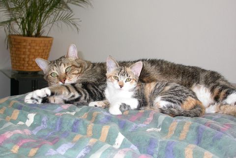 Twinkles and Ruger, 2004